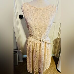Loft lace belted dress sz 6